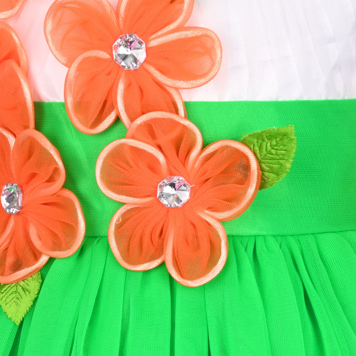 Girls Floral Applique Tricolor Republic Day Special Dress