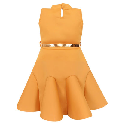 Baby Girls Party Wear Frock Dress fe2438ylw -   Dresses