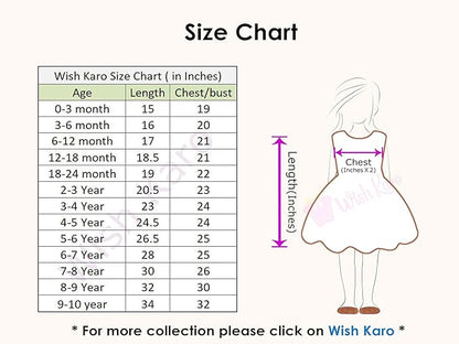 Buy Premium Baby Girls Party Birthday Wear Dress Online
