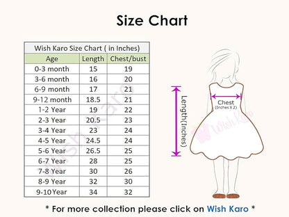 Baby girl Knee Length Frock Dress