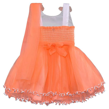 Baby Girls Party Frock Dress at Wholesale Price