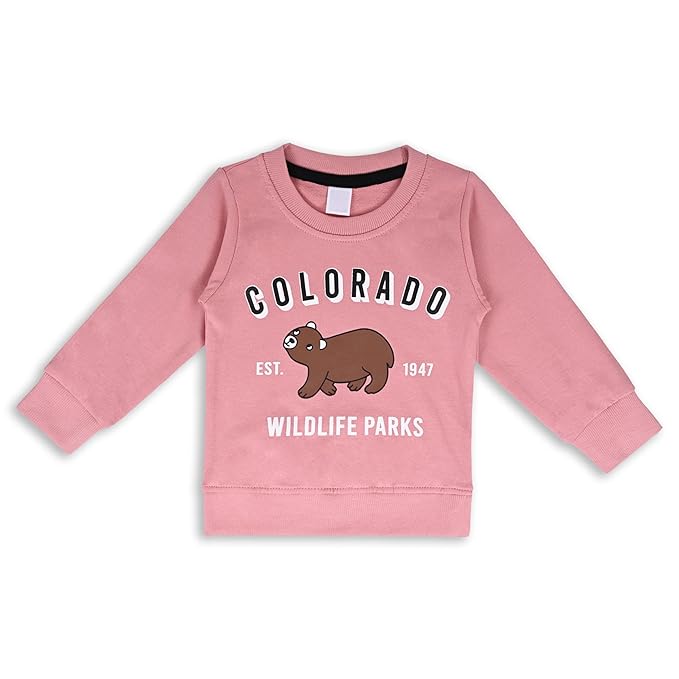 Combo Unisex Pack of 2  Printed Sweatshirts