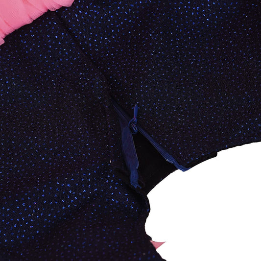 Girls Shimmery Floral Flared Net Party Dress