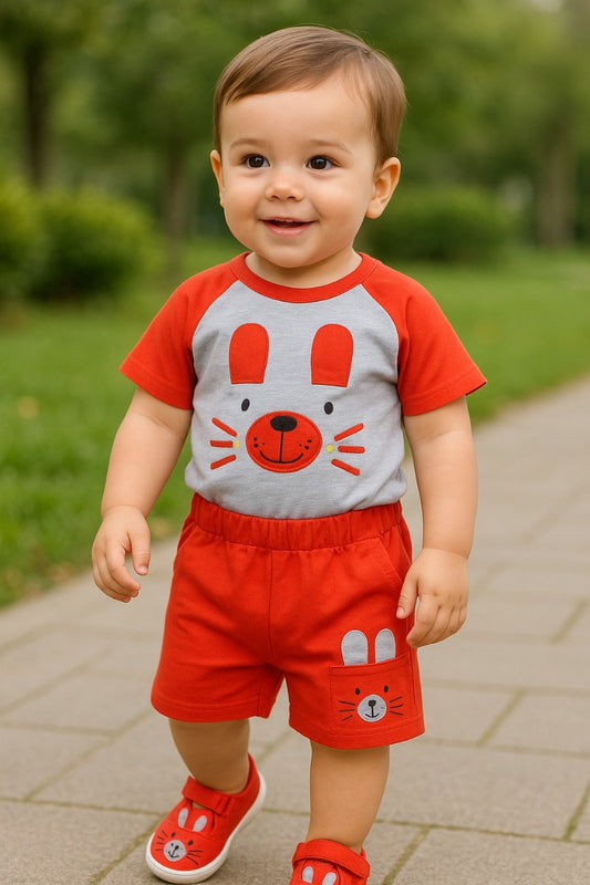 Baby Boys T-Shirt And Short For Boys-(bt105rd)