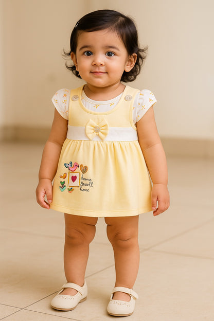 Girls Embroidered Sleeveless Frock dress comes with brief bt725