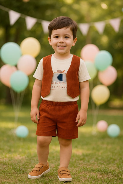 Baby Boys Clothing Set-(bt96)
