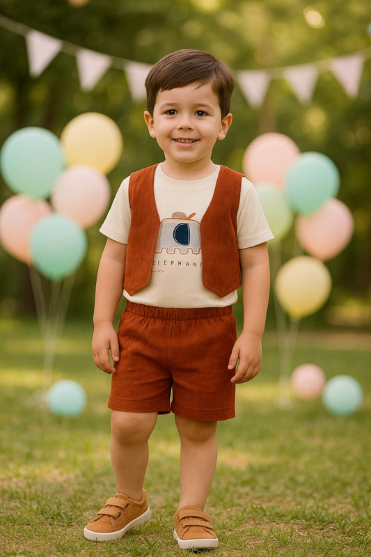 Baby Boys Clothing Set-(bt96)