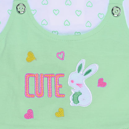 Baby Girls Printed A-Line Frock Dress With Brief bte755