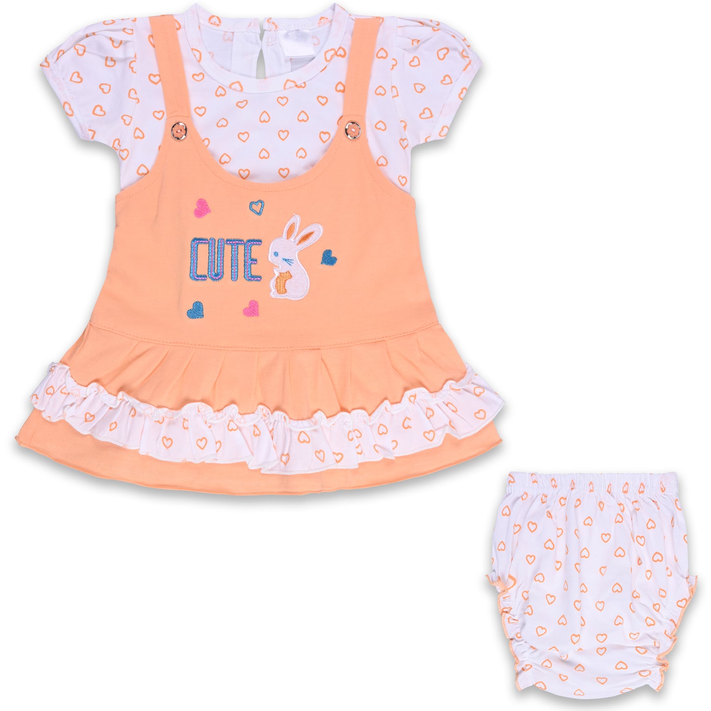 Baby Girls Printed A-Line Frock Dress With Brief bte755