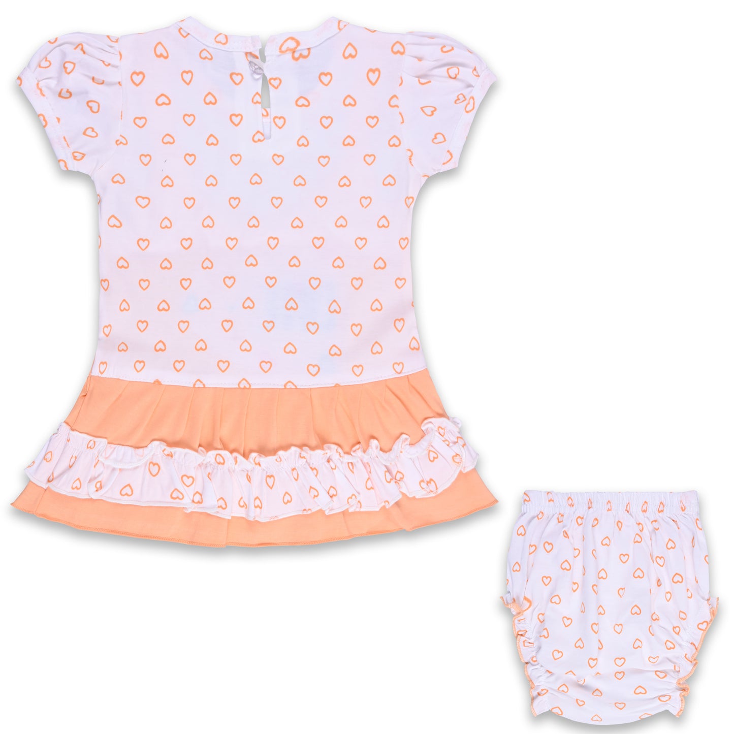 Baby Girls Printed A-Line Frock Dress With Brief bte755