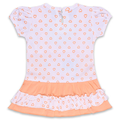 Baby Girls Printed A-Line Frock Dress With Brief bte755