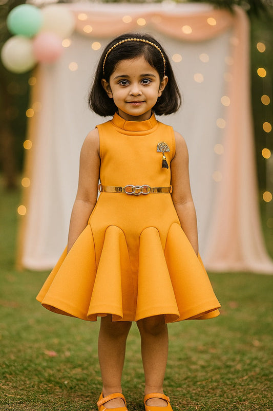Baby Girls Party Wear Frock Dress fe2438ylw - Wish Karo