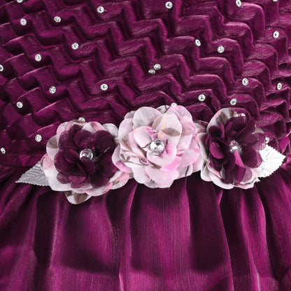 Girls Floral Applique Embellished Ruffle Sleeve Printed Party Dress