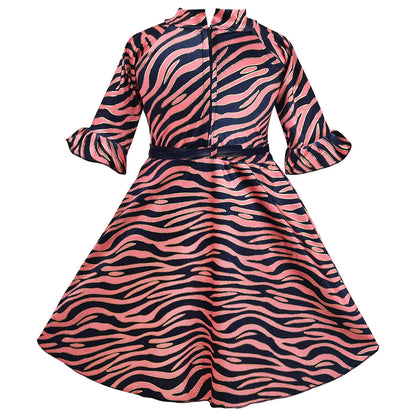 Girls Embroidered Dress