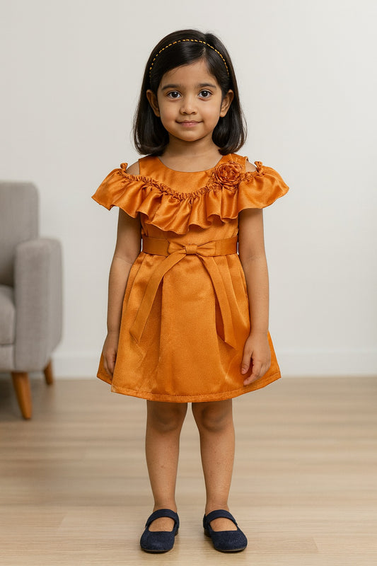 Baby Girls Frock Dress-stn712y