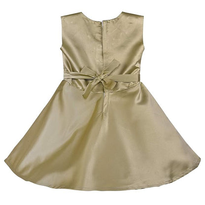 Baby Girls Casual Wear Frock Dress at Wholesale Price